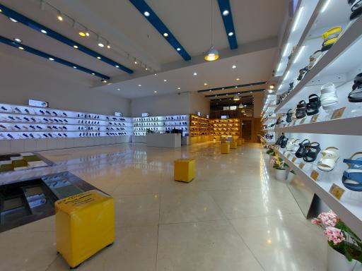 عکس کفش طبیب تبریز