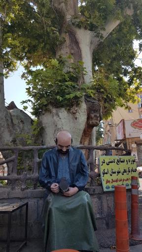 عکس درخت تاریخی چنار اسکو