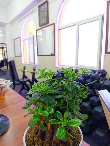 عکس باشگاه بدنسازی ایران