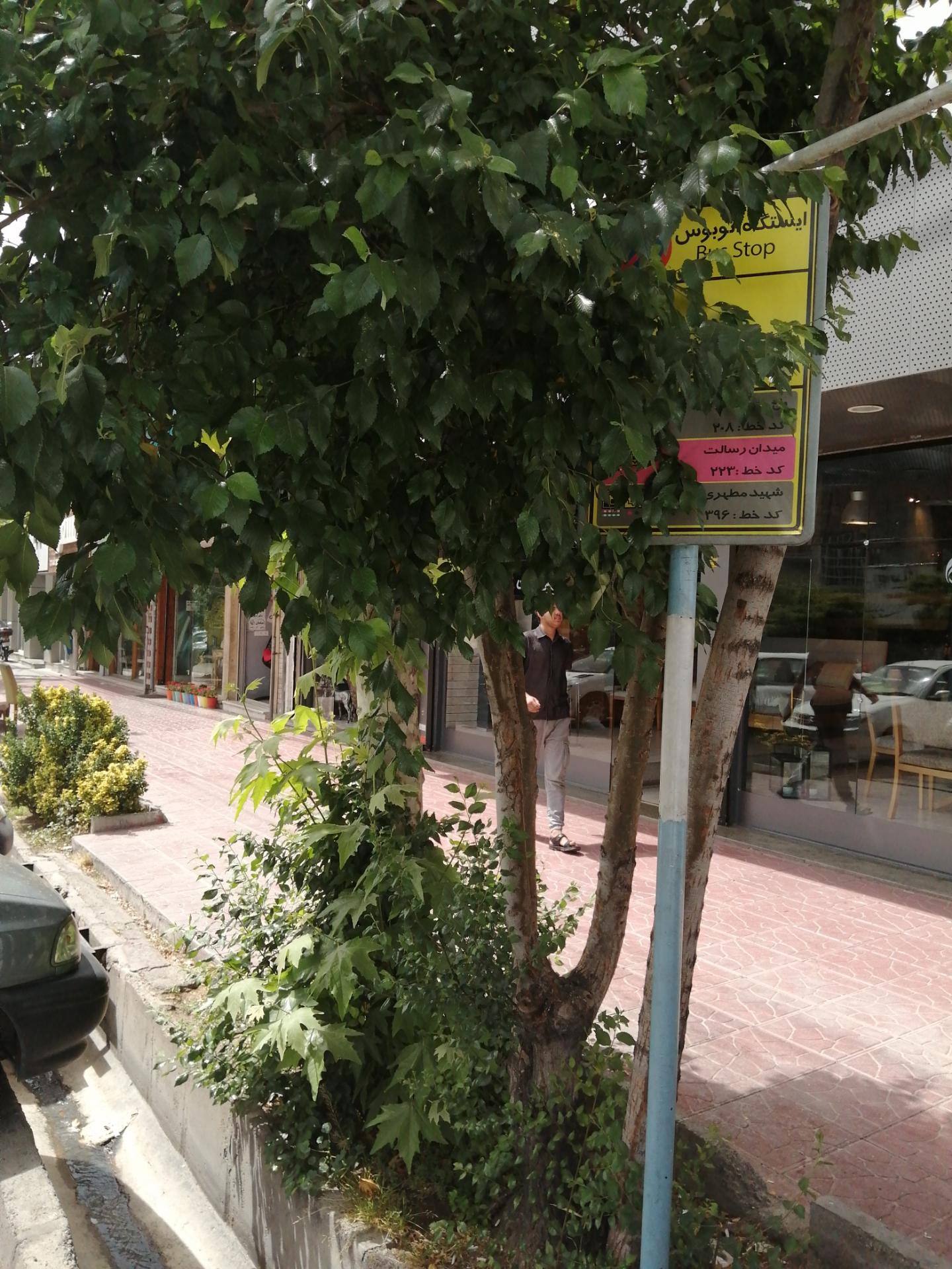 عکس آزادگان