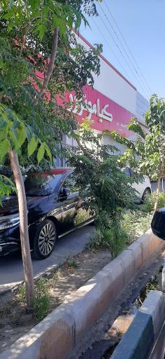 عکس کیا موتورز