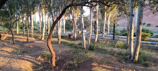 عکس پارک ربع رشیدی