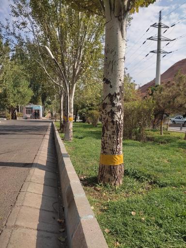 عکس پارک ربع رشیدی