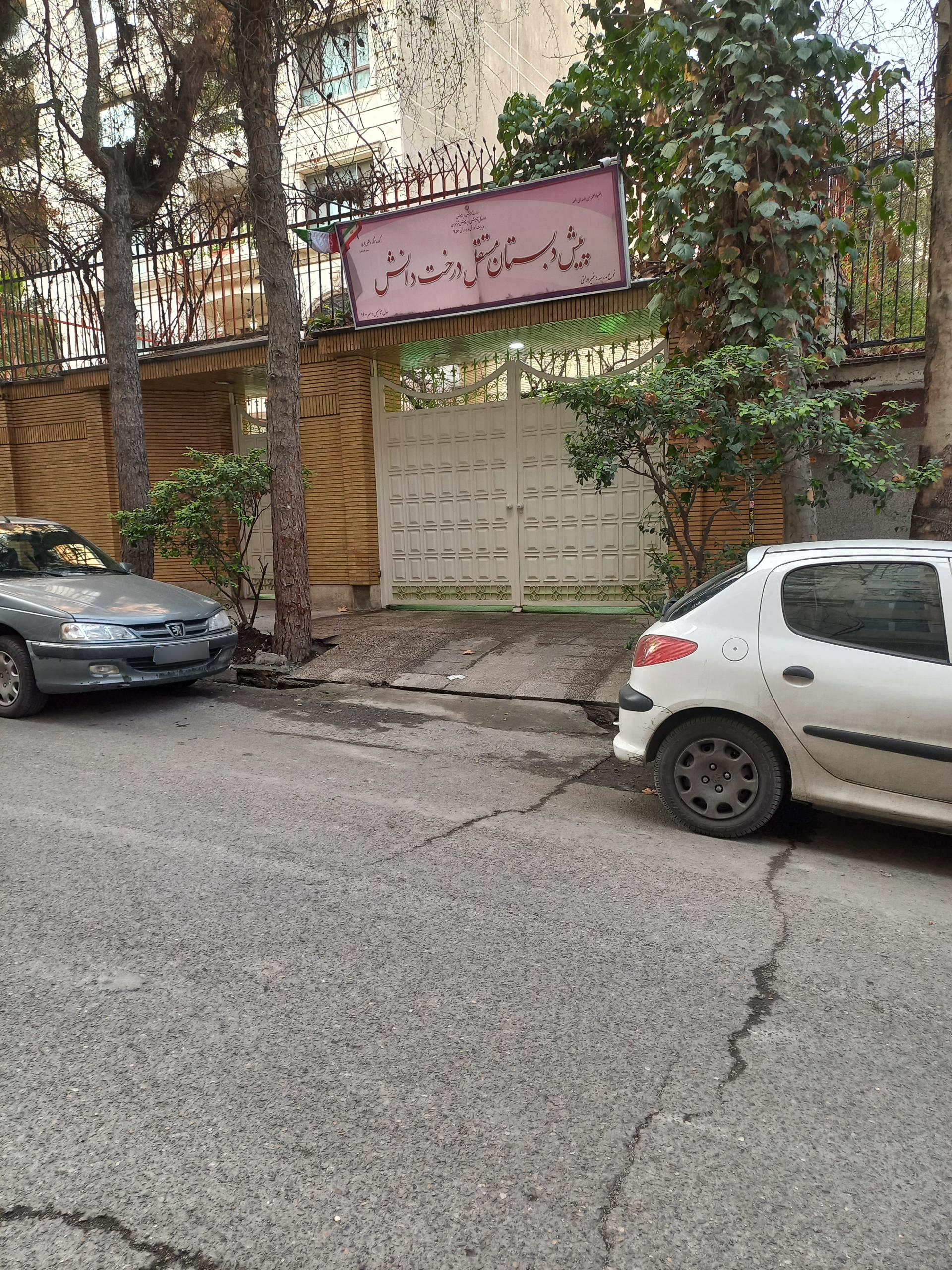 عکس پیش بستانی مستقل درخت دانش