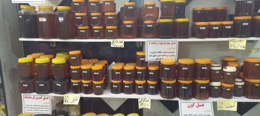 عکس لبنیات چشمه سار