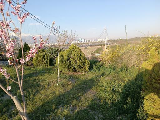 عکس پل معلق آسمان تهران