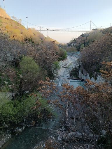 عکس پل معلق آسمان تهران