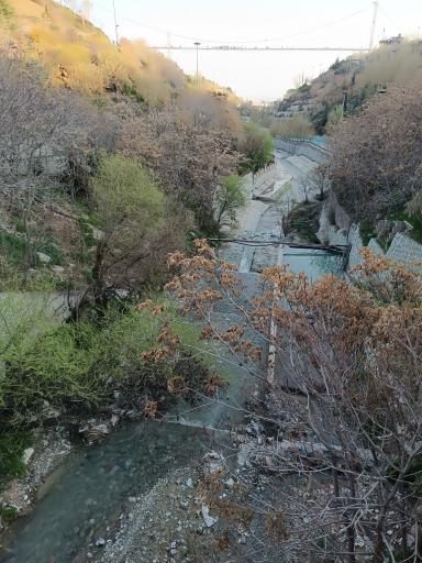 عکس پل معلق آسمان تهران