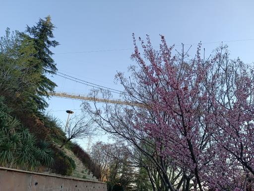 عکس پل معلق آسمان تهران