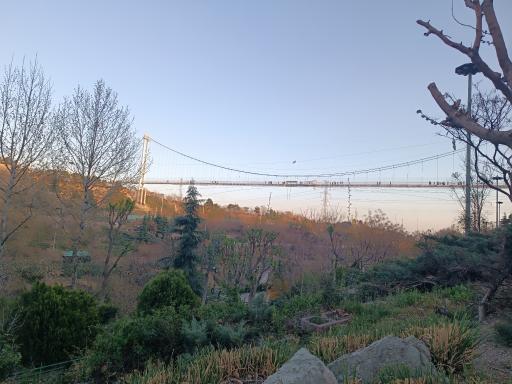 عکس پل معلق آسمان تهران