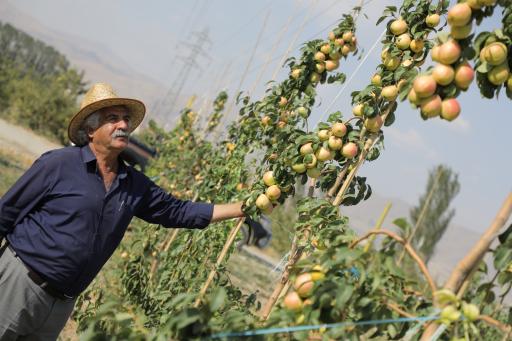 عکس نهالستان عباس سهرابی