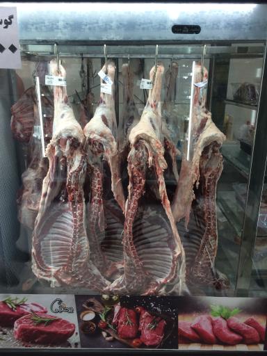 عکس فروشگاه مواد پروتئینی پرطلایی