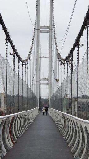 عکس پل معلق آسمان تهران