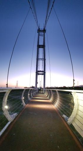 عکس پل معلق آسمان تهران