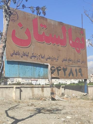 عکس نهالستان عباس سهرابی