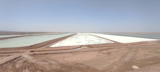 عکس پتاس خور