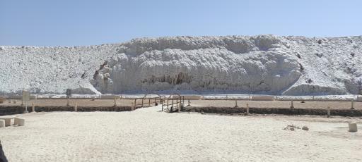 عکس پتاس خور