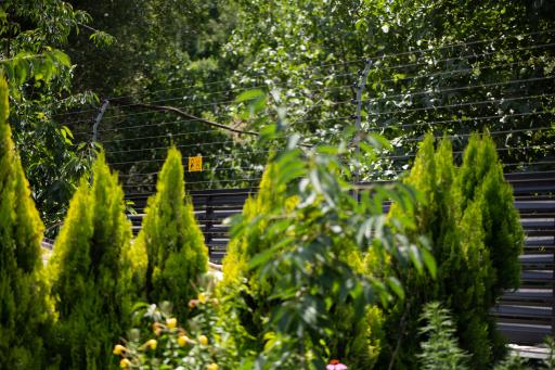 عکس ایمن حصار پویا