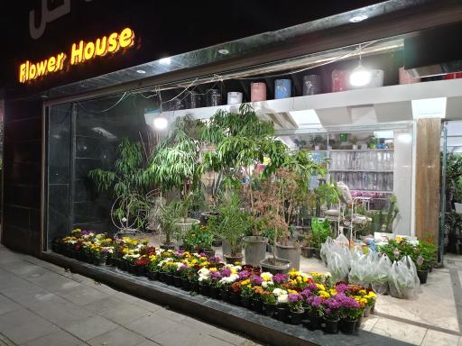 عکس خانه گل