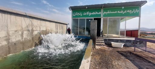 عکس بازار ماهی قیزیل بالیق سیزن