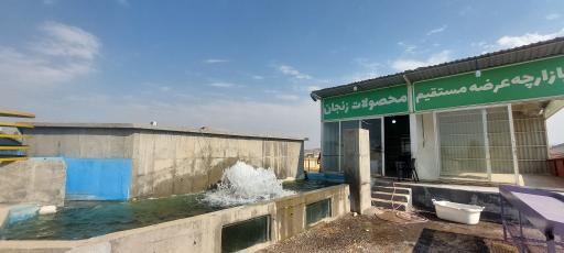 عکس بازار ماهی قیزیل بالیق سیزن