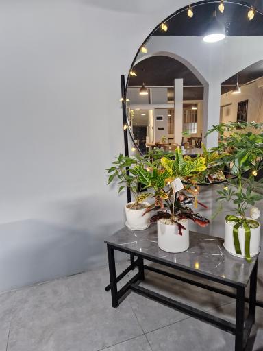 عکس کافه این لحظه 