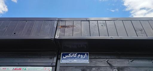 عکس اروم کانکس