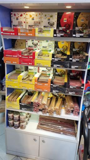 عکس پت شاپ کیوت