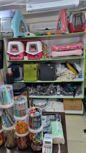 عکس پت شاپ کیوت