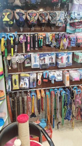 عکس پت شاپ کیوت