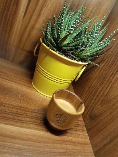 عکس کافه یاشین