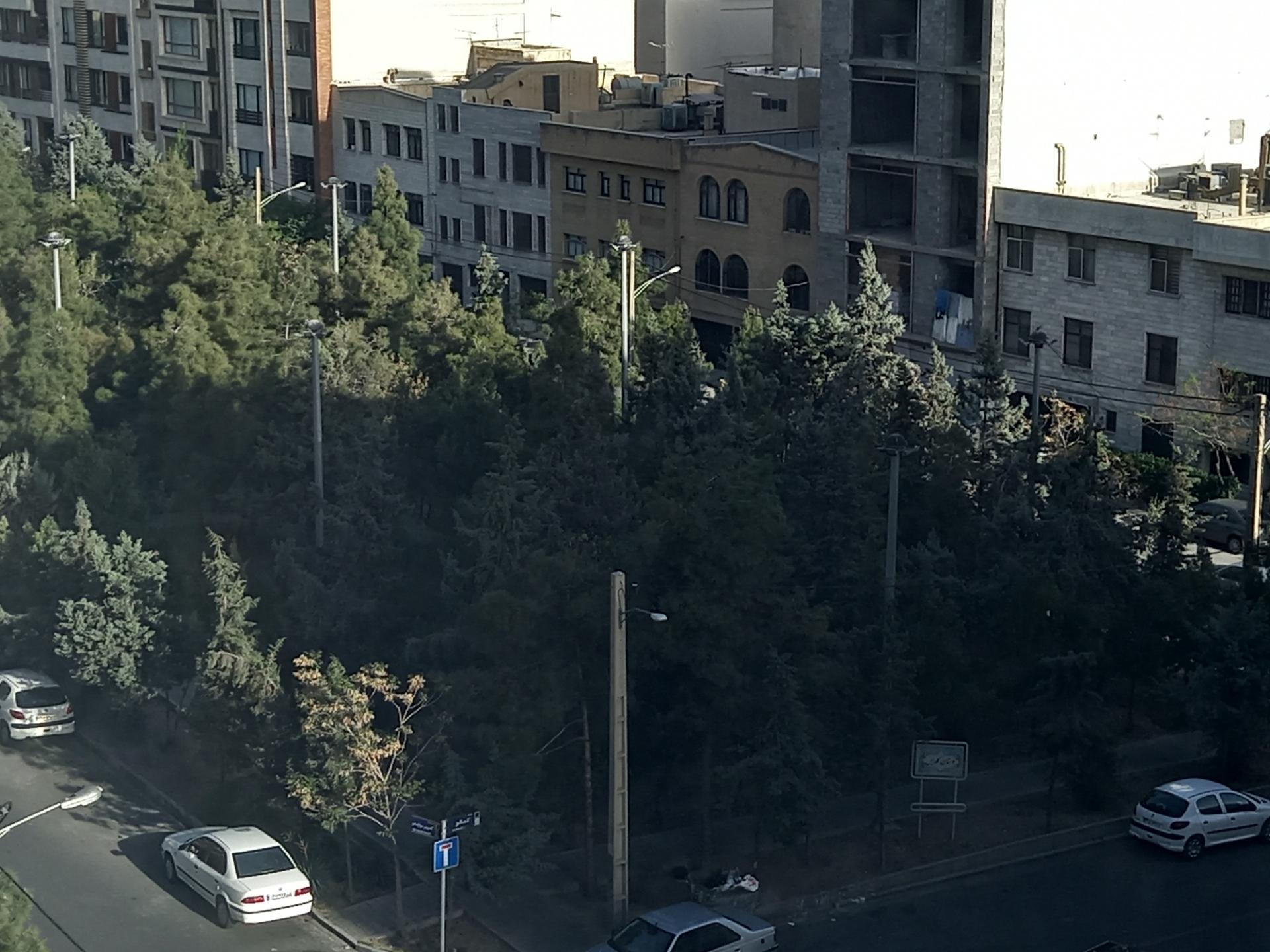 عکس بوستان گلدیس