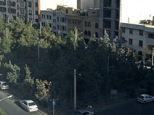 عکس بوستان گلدیس