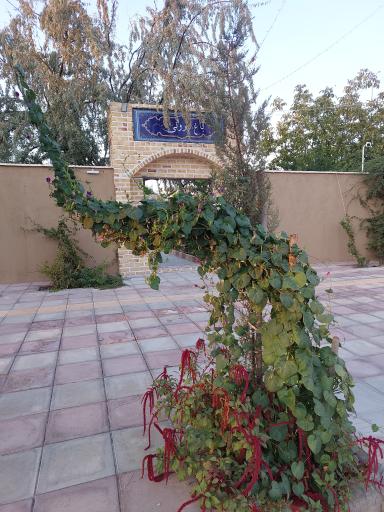 عکس باغ ایرونی 