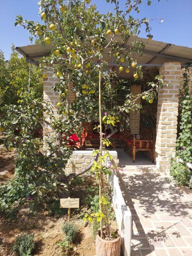 عکس باغ ایرونی 