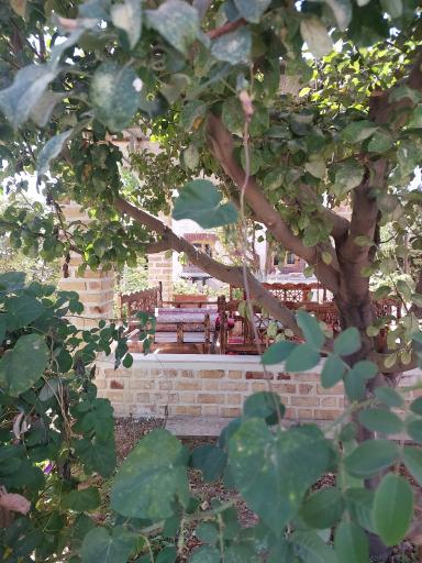 عکس باغ ایرونی 