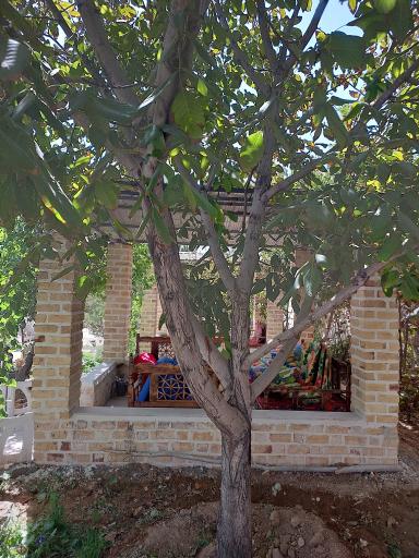 عکس باغ ایرونی 