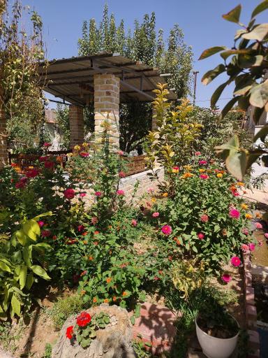 عکس باغ ایرونی 