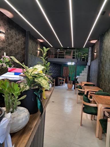 عکس قهوه سورنا