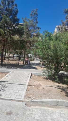 عکس بوستان گلدیس