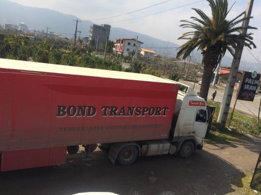 عکس تولیدی گل و گیاه پالمیران