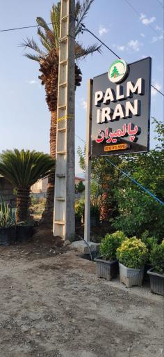تولیدی گل و گیاه پالمیران
