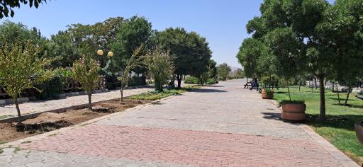 عکس بئی، گلین باغچاسی
