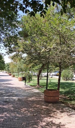 بئی، گلین باغچاسی