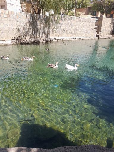 عکس چشمه بالقلو
