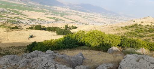 عکس داریاب