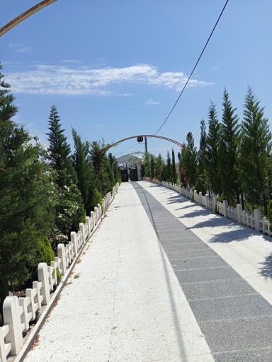 عکس باغ عروس بنکران