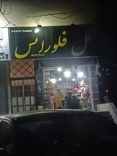 عکس گل فلورانس