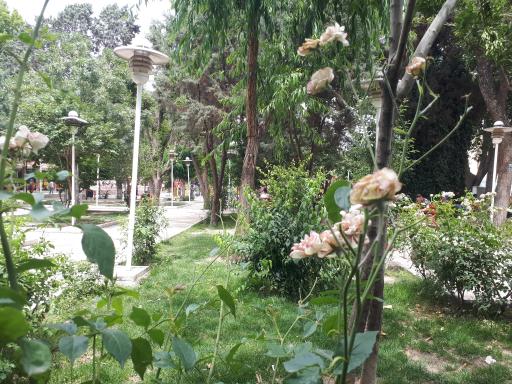 عکس پارک کودک