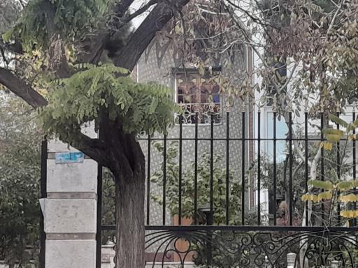 جامعه جراحان ایران